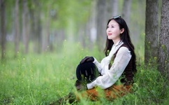 不死不灭动漫免费观看